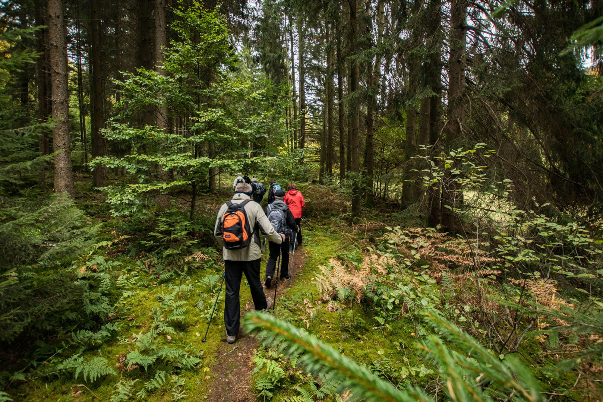 Naturpark Spessart : Naturpark Spessart